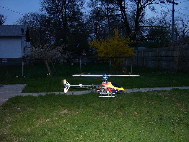 NewCanopy 008.jpg